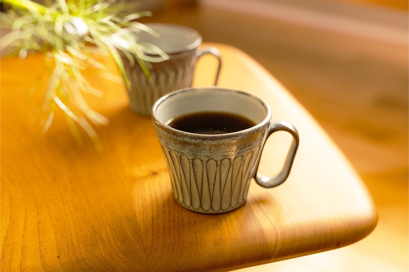 生涯を添い遂げるマグ 丹波焼 しのぎ